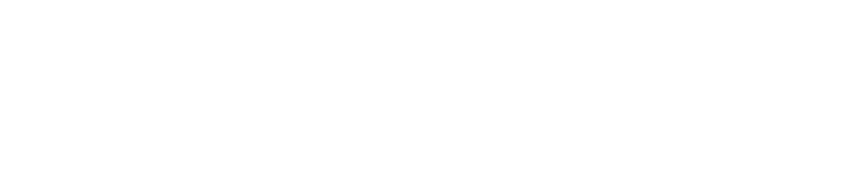 Dion Health Website Logo